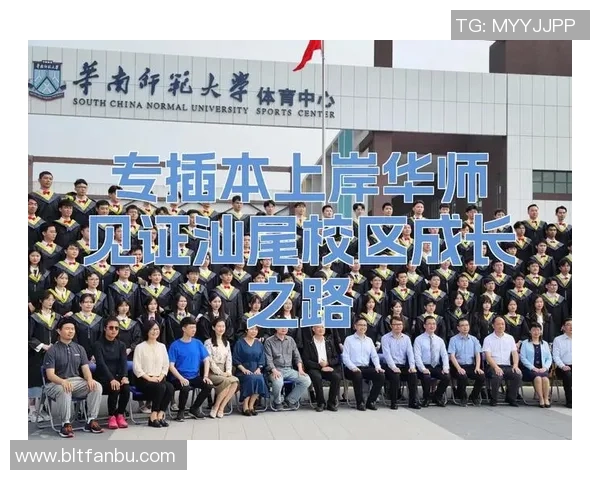 聚焦上海篮球队比赛经验分享与成长之路探讨